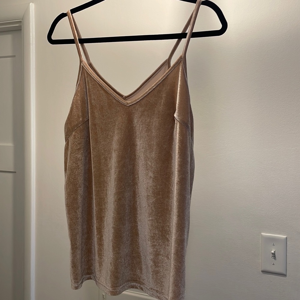 Boutique Size Large Velvet Pale Pink Camisole